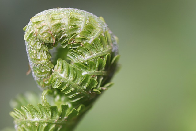 Gardening Tips for Urban Apartment Dwellers Gardening Tips for Urban Apartment Dwellers
