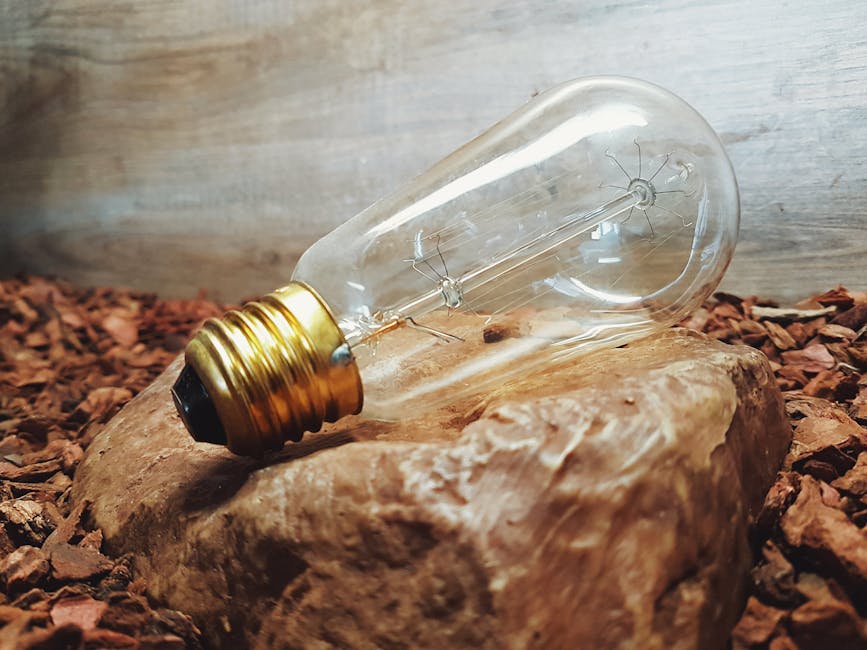 Upcycling Ideas: Turning Old Items into Useful Decor Upcycling Ideas: Turning Old Items into Useful Decor