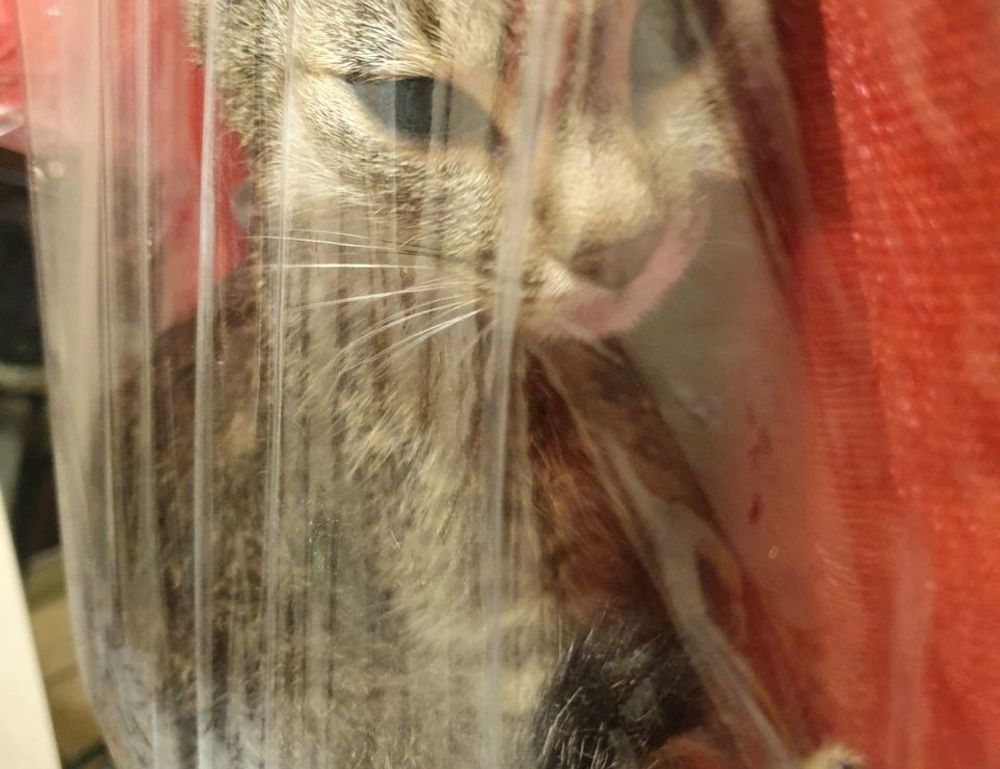 contact homiezava hotel