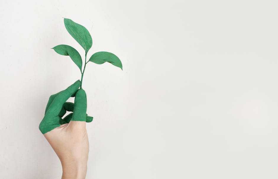 Creative Sustainability