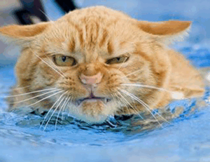 Brand New Content drhextreriorly