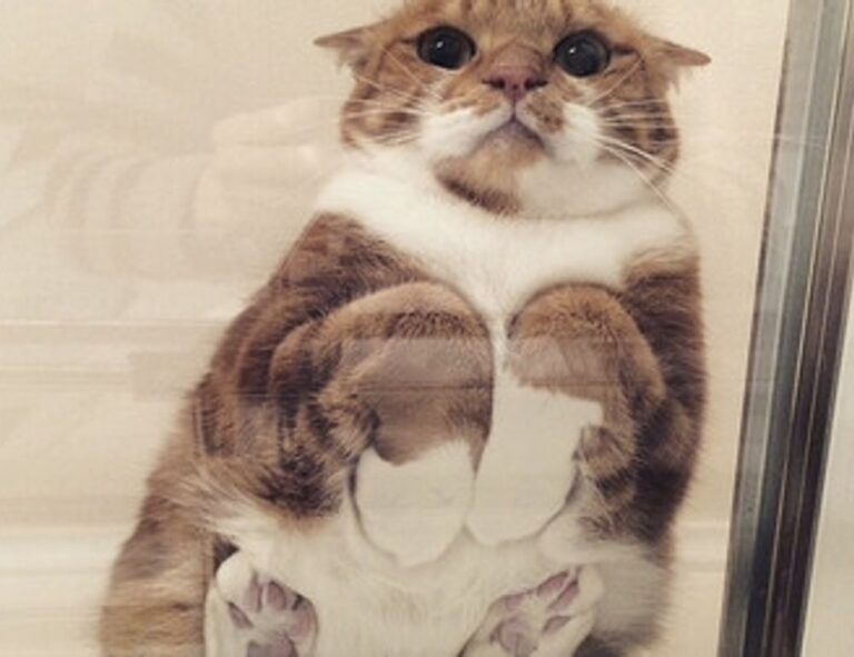 Home drhextreriorly exterior design by drhomey