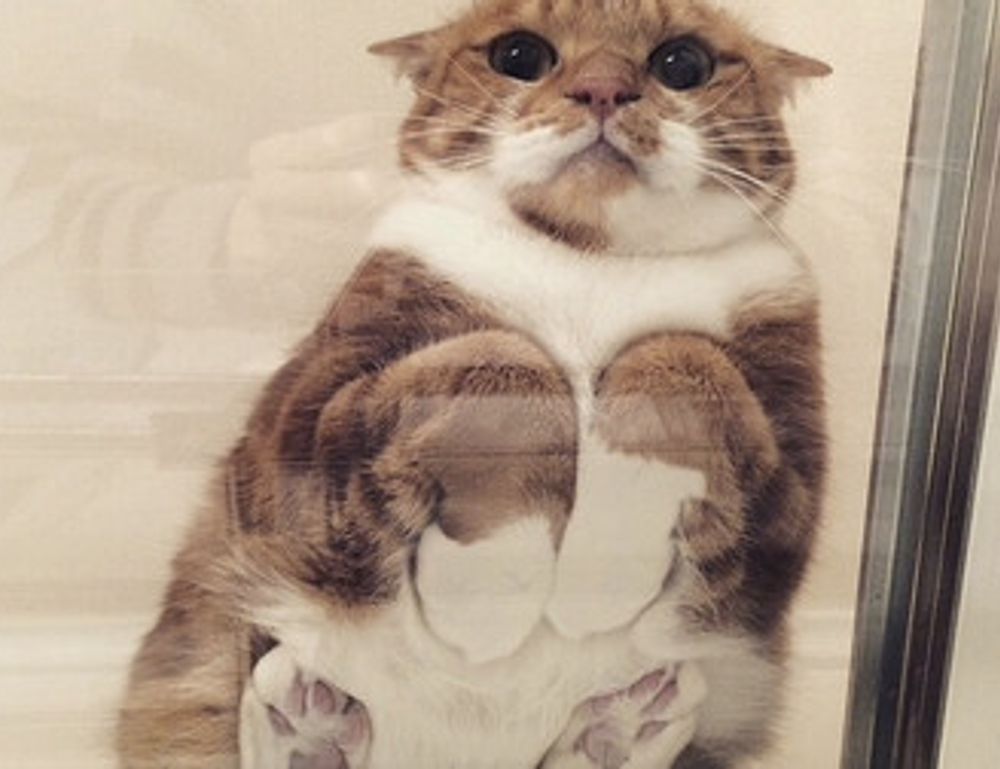 drhextreriorly exterior design by drhomey