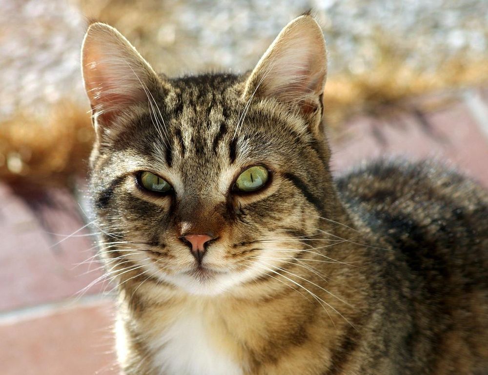 exterior design drhextreriorly exterior design drhextreriorly