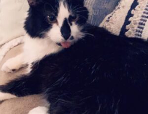 Brand New Content exterior plans drhextreriorly