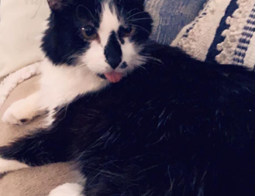 exterior plans drhextreriorly