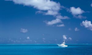 Brand New Content garden designs kdagardenation