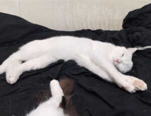 Brand New Content general home advice mrshomegen