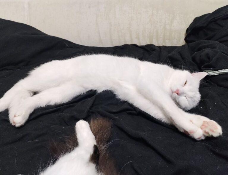 Home general home advice mrshomegen