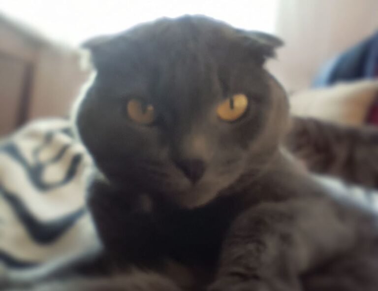 Home general home guide mrshomegen