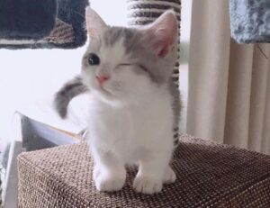 Brand New Content home tips heartomenal