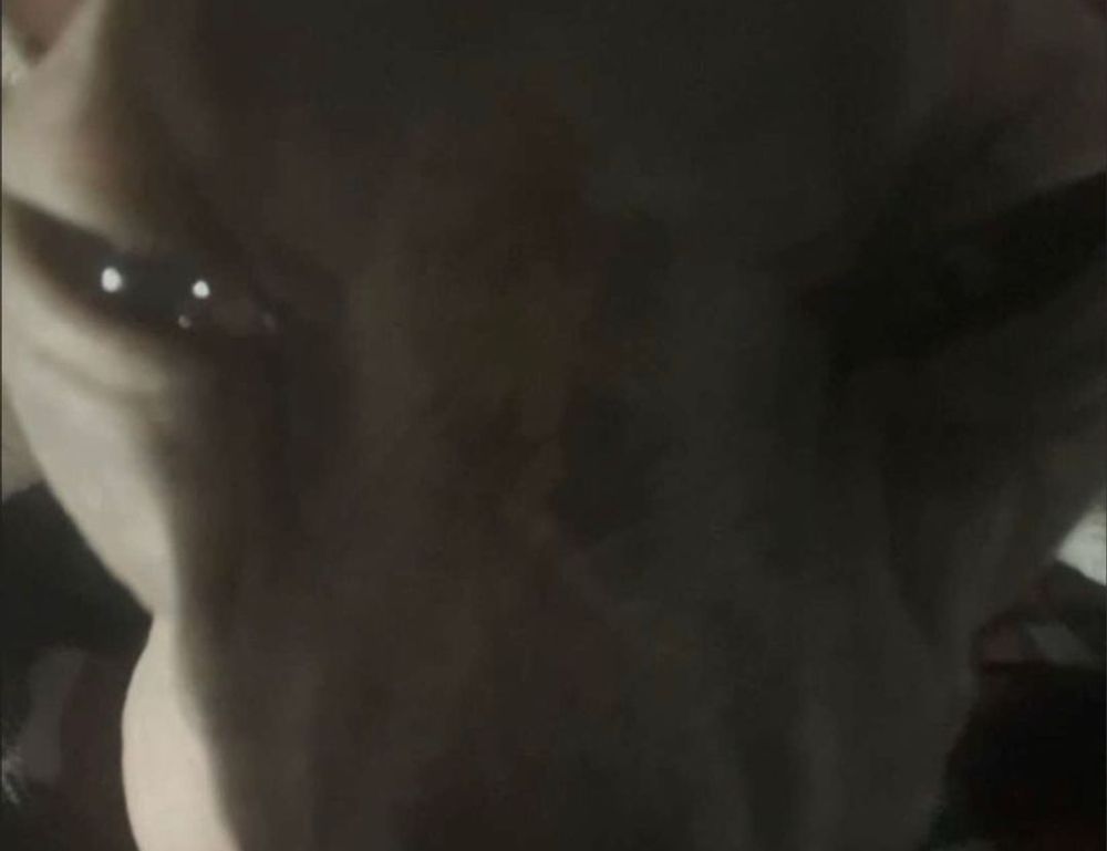 house building drhextreriorly