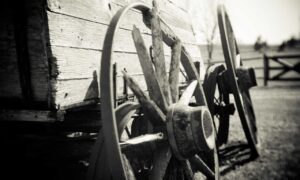 Brand New Content house hacks livpristvac