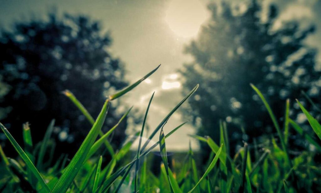 house renovation guide heartomenal