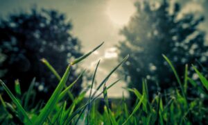 Brand New Content house renovation guide heartomenal