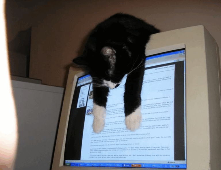 Home how a clean space affect your mood mrshomegen