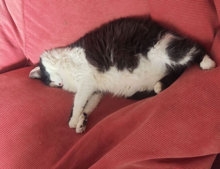 Home how far to homiezava hotel