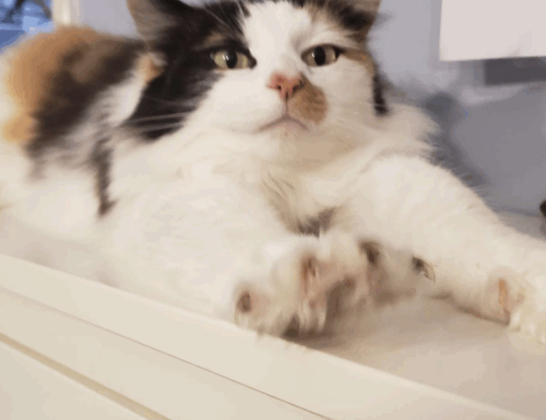 Home how interior design works mintpalment