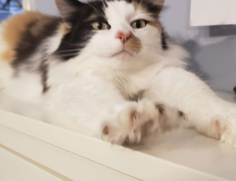 how interior design works mintpalment how interior design works mintpalment