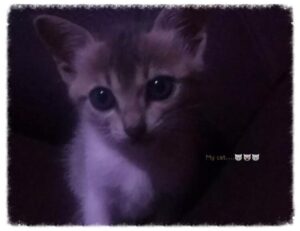 Brand New Content how to design a garden layout kdagardenation