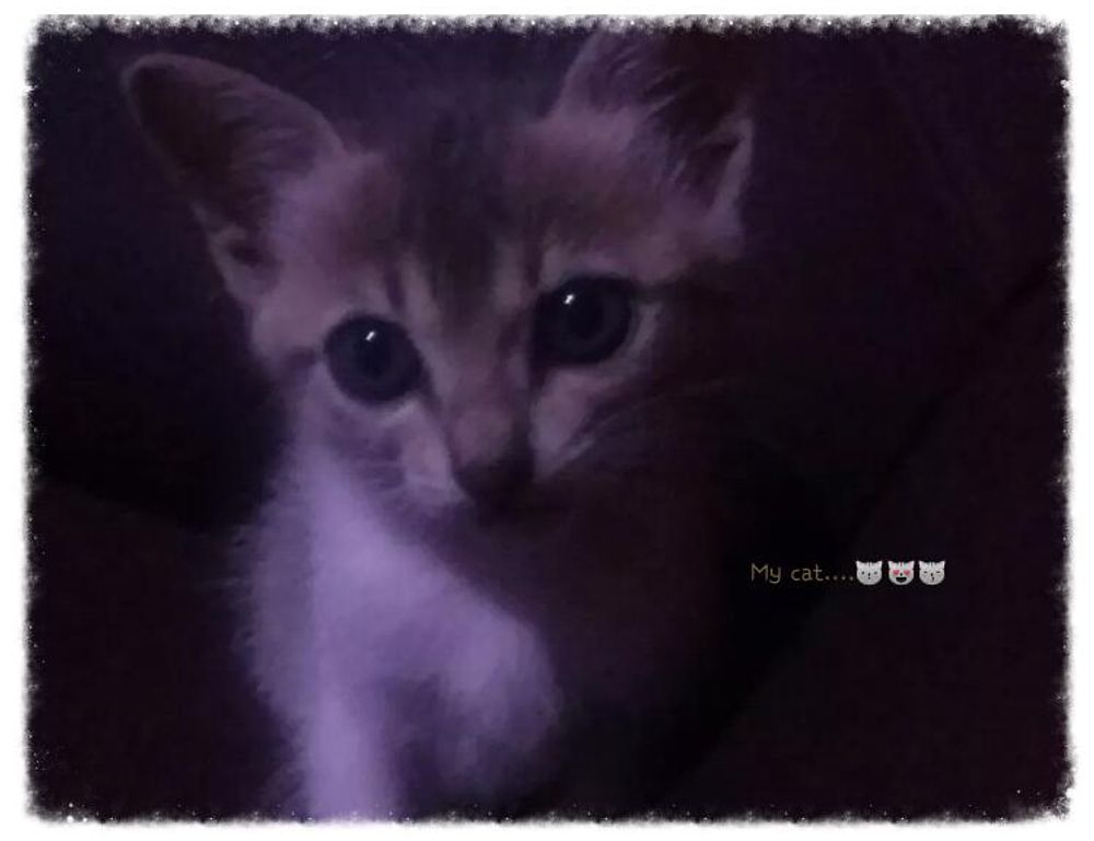 how to design a garden layout kdagardenation