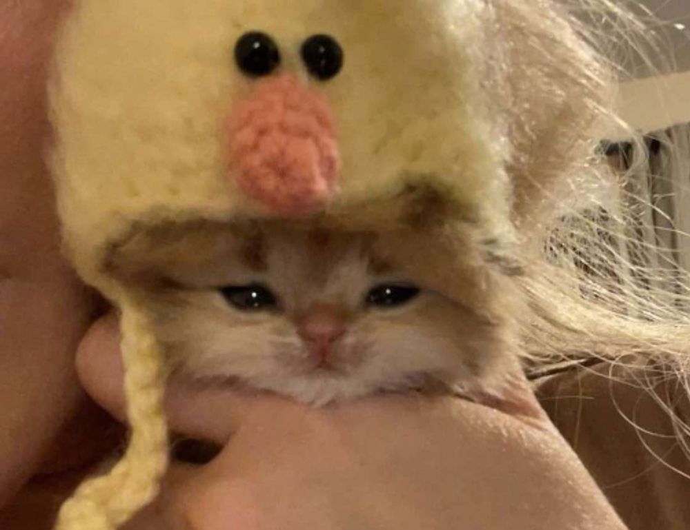 interior decoration miprenovate