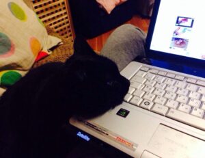 Brand New Content interior design guide kdadesignology