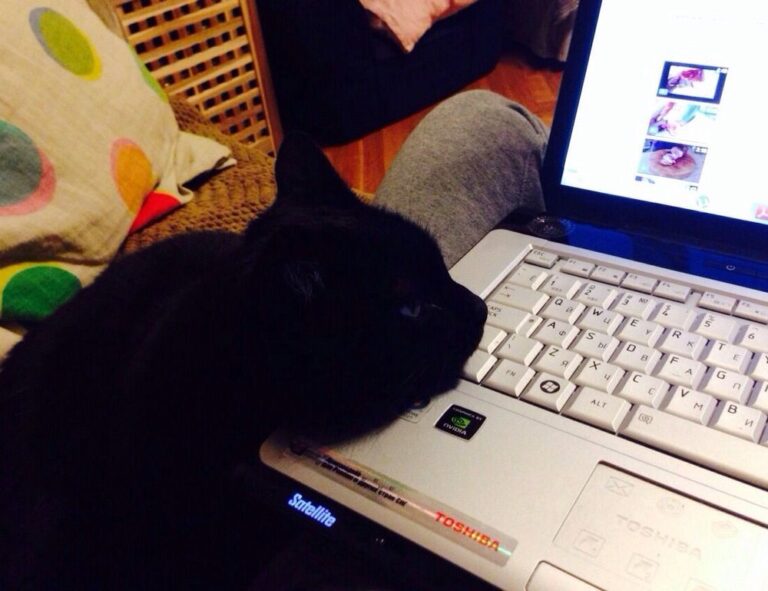 Home interior design guide kdadesignology