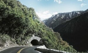 Brand New Content interior design kdadesignology