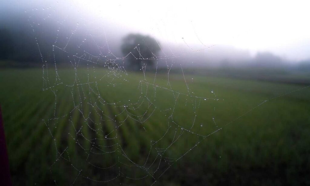 kitchen upgrading tips mintpalment