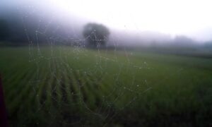 Brand New Content kitchen upgrading tips mintpalment