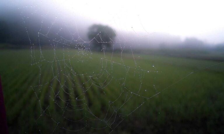 Home kitchen upgrading tips mintpalment