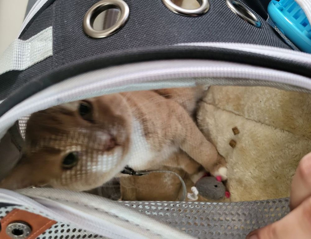 mintpalment home improvements by myinteriorpalace