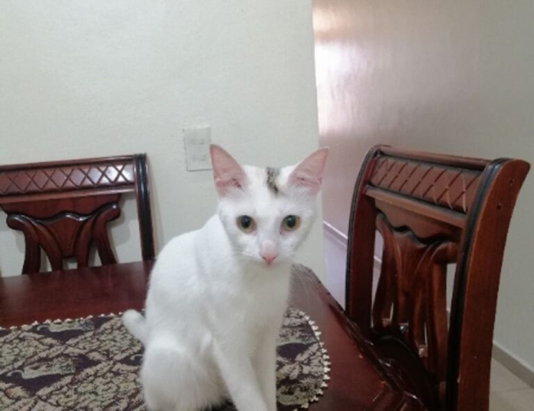 Home outer design drhextreriorly