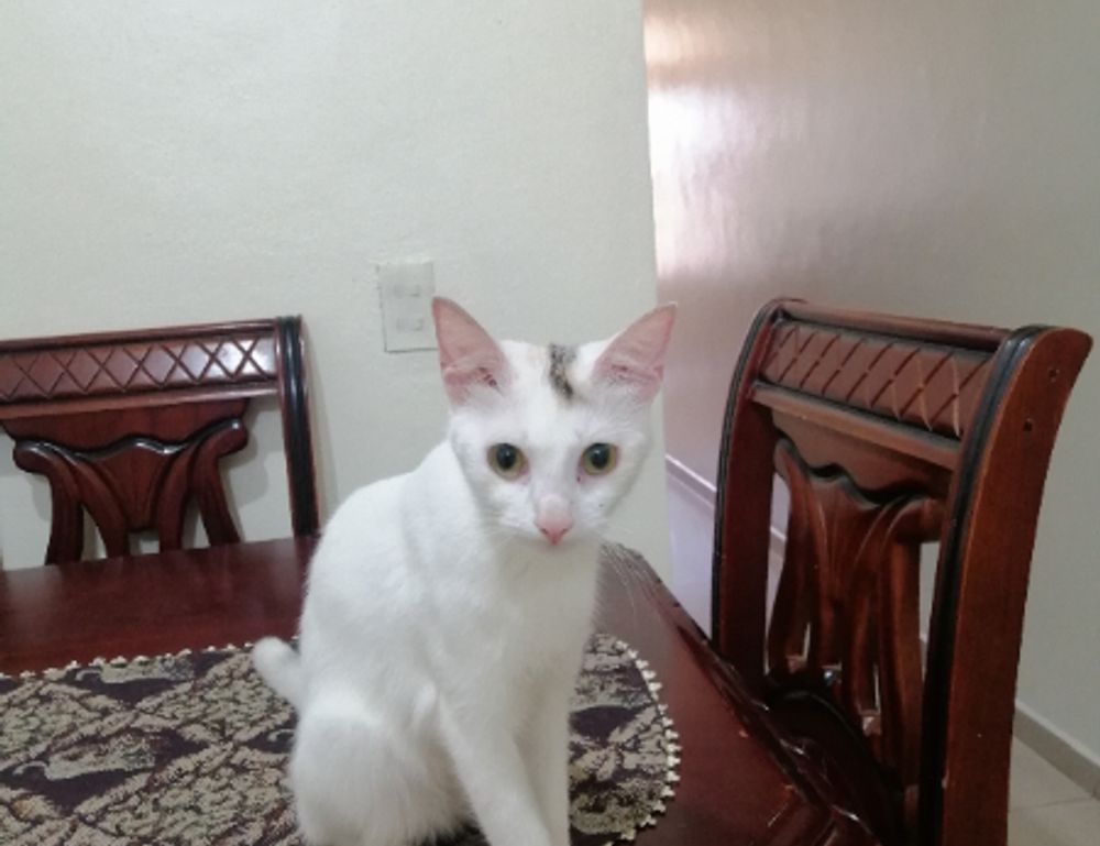 outer design drhextreriorly