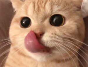 Brand New Content which home insurance is best mrshomegen