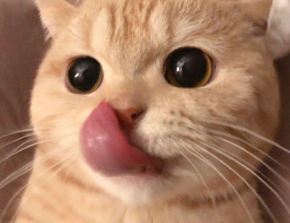 which home insurance is best mrshomegen which home insurance is best mrshomegen