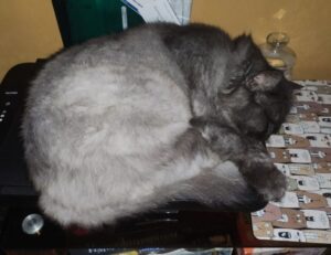 Brand New Content which interior design style are you kdadesignology