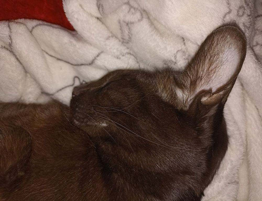 why can't i open a game marshock200 on pc