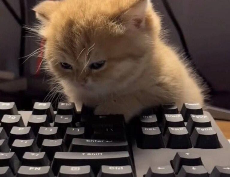 Home why gardens are important kdagardenation