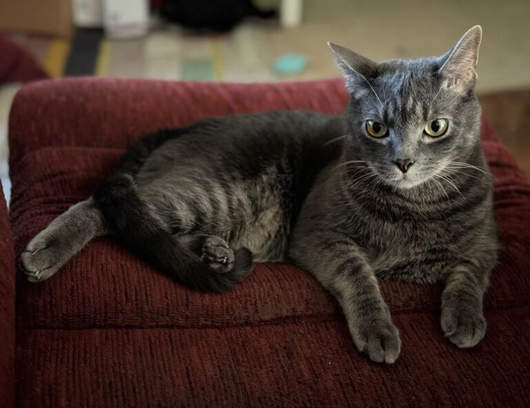 Home yard designs kdagardenation