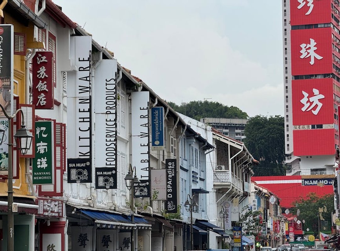 Paisaje Fondo Bluey Adding Decorations and Props