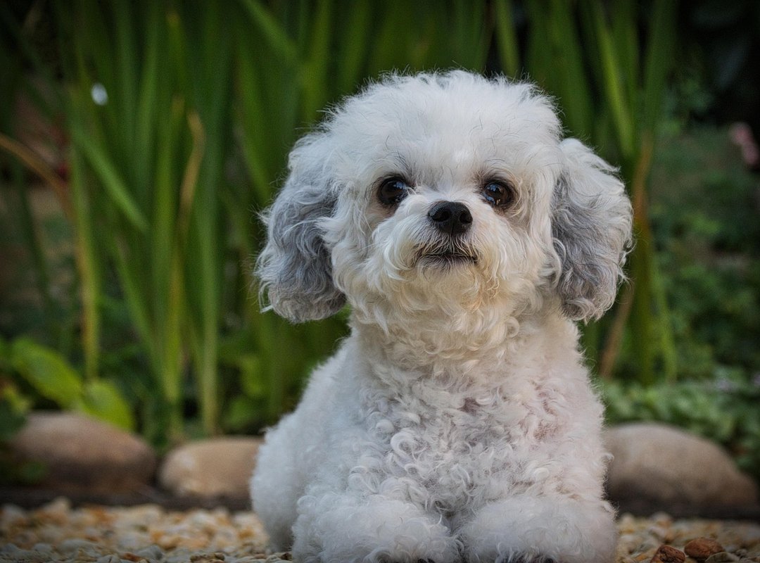 What to Look for in Safety Glasses Mrshomegen