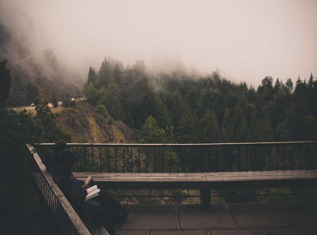 What Makes the MXN/CLP Exchange Rate Change?