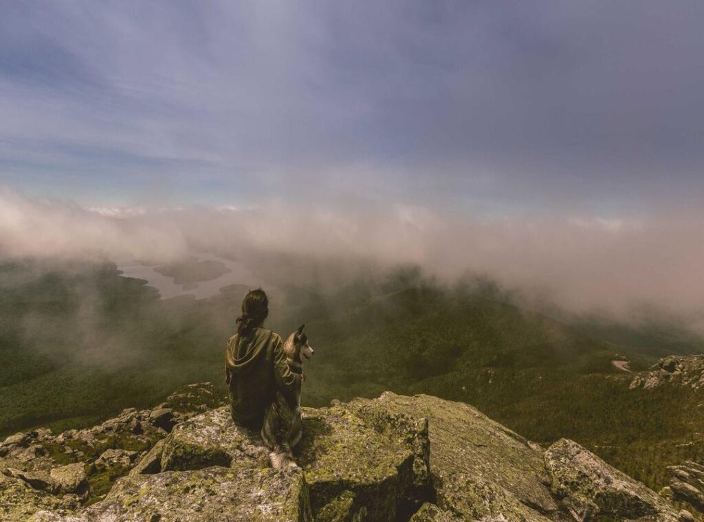 arsenal w.f.c. vs everton f.c. (women) timeline