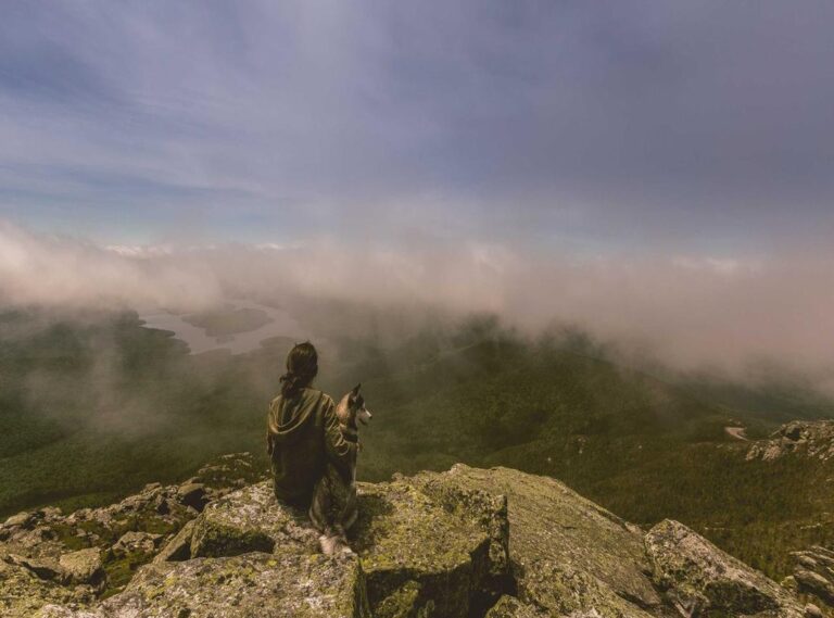 arsenal w.f.c. vs everton f.c. (women) timeline