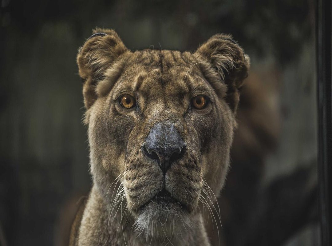 Philadelphia 76ers: By the Numbers