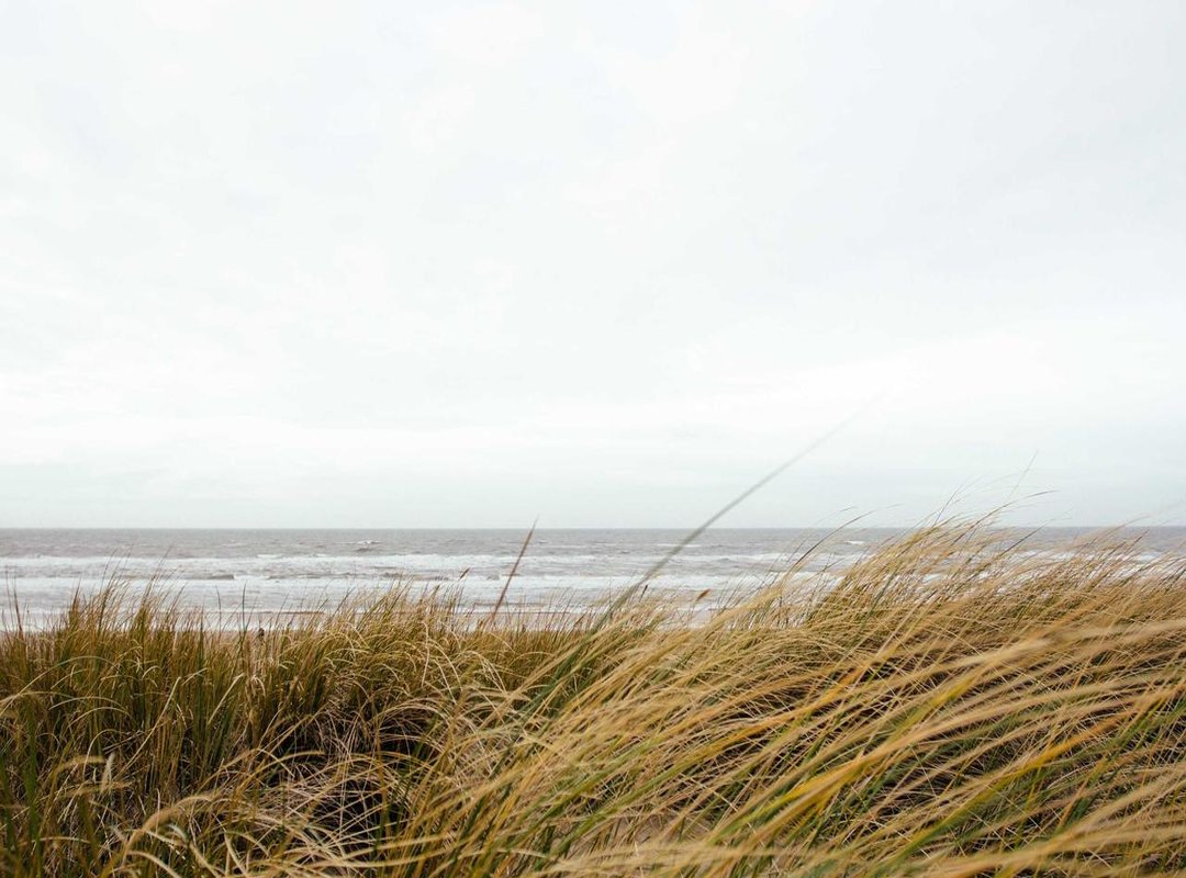 Frequently Asked Questions (FAQs)