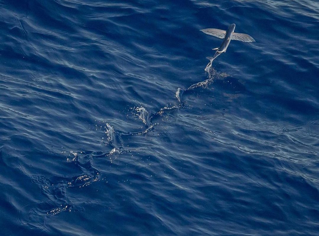 Beyond the Tape Measure: How Height Plays into Public Image