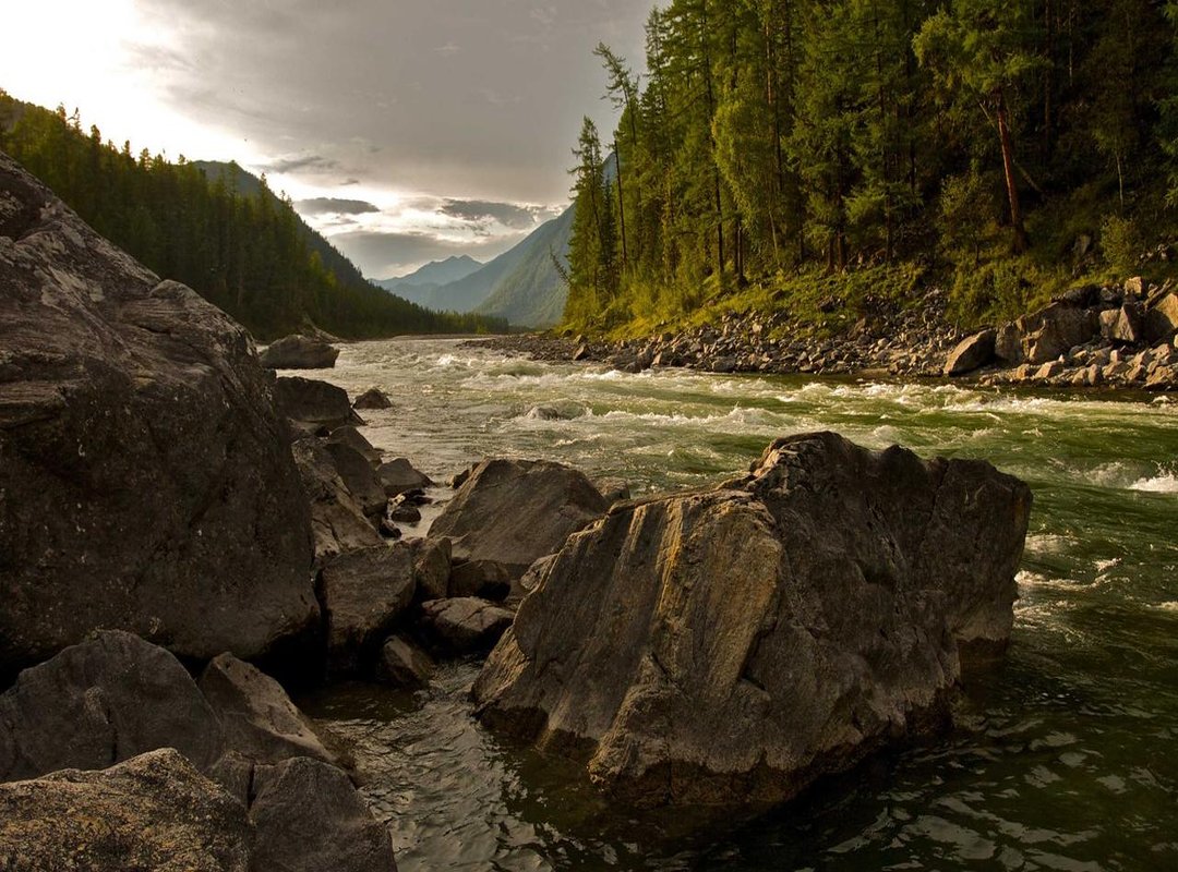 Legit Alternatives: How to Get Free Fire Rewards Safely